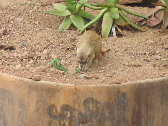 618x457 pixels (198K)